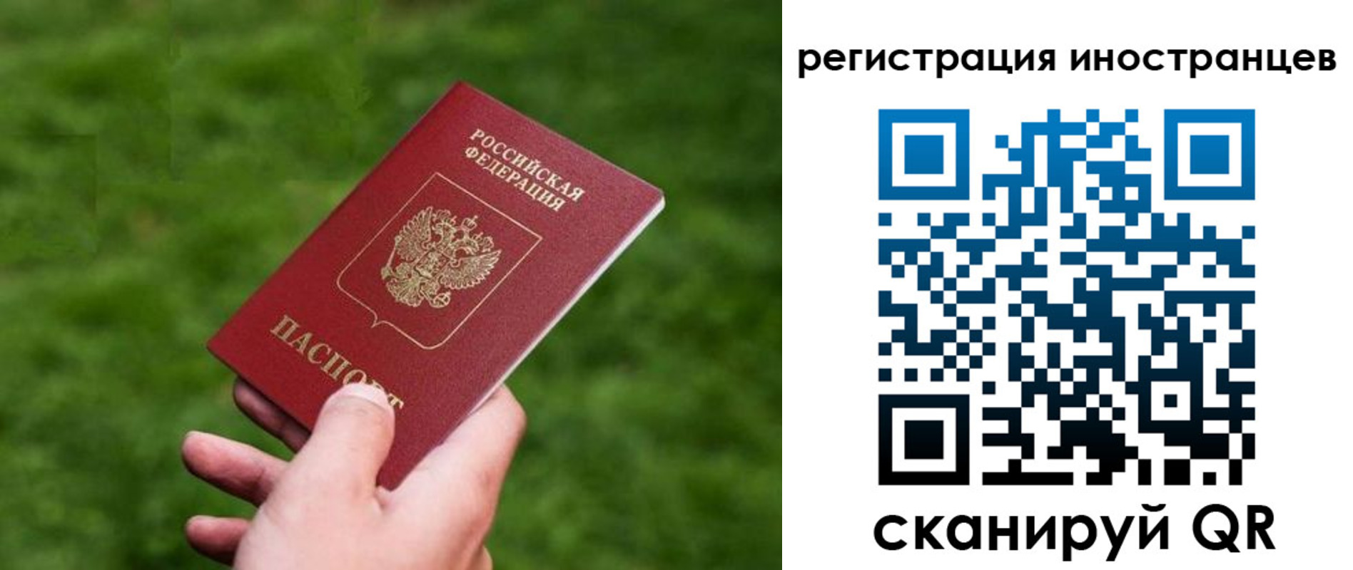 прописка ребенка в Павловске